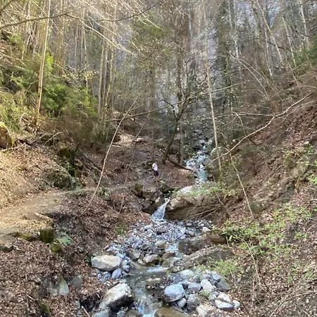 Daire The Mad Cow Bönigen