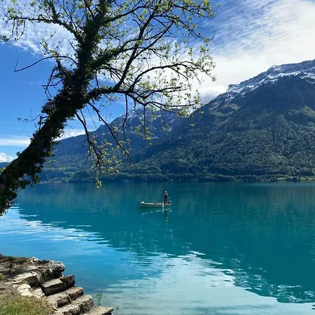 Daire The Mad Cow Bönigen