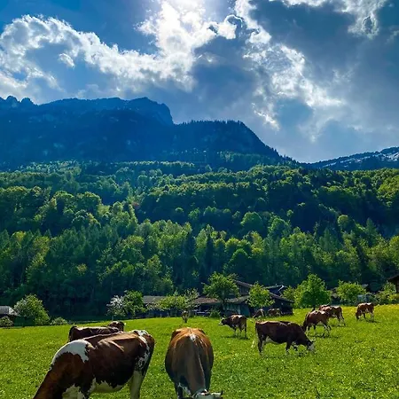 Lägenhet The Mad Cow *