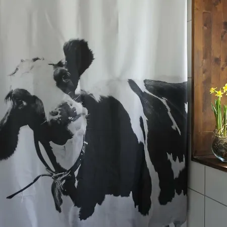 公寓 The Mad Cow Bönigen